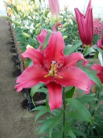 [4155 Believe Mak No302.JPG]